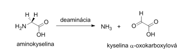 aqminokyseliny-reakcie1