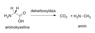 aqminokyseliny-reakcie2