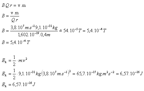 castica-s-nabojom-v-magnetickom-poli-6.gif