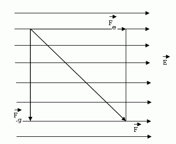 fyzika-elektricke-pole-10z.gif