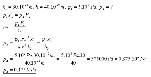 izodeje-16